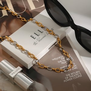 1 Piece Modern Series Sophisticated Chain Stainless Steel Gold & Silver Color Women's Chain Necklaces h5 Picture4