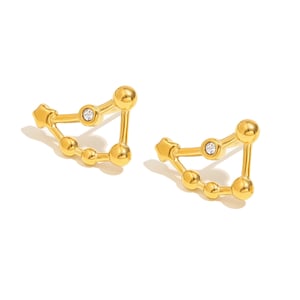 Simple Series Constellation Gold Stainless Steel Women's Stud Earrings h5 Picture4