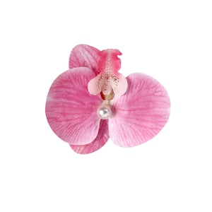 Romantic Series Sweet Flower Fabric Women's Hair Claws h5 Picture6