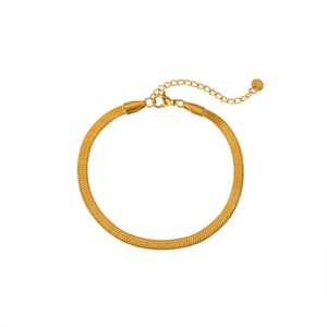 1 Pair Simple Series Daily Chain Stainless Steel   Gold Color  Anklets h5 Picture4