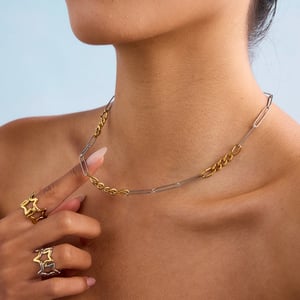 Simple Chain Stainless Steel Mixed Color Chain Necklaces h5 Picture3