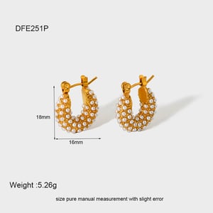 Luxurious Series Elegant Stainless Steel  Women's Stud Earrings h5