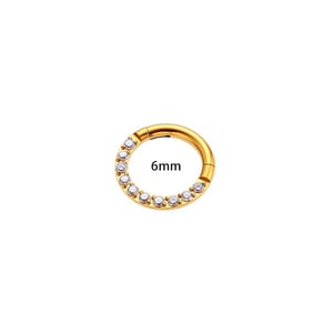 1 Piece Intricate Stainless Steel Gold Color Zircon Women's Piercings Earrings h5 Picture2