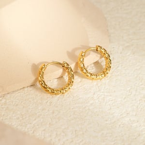 Simple Series Daily Geometric Stainless Steel Women's Hoop Earrings h5 Picture4
