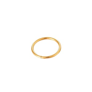 1 Piece Minimalist Stainless Steel Gold Color Women's Piercings Earrings h5 Picture6
