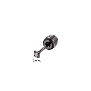 1 Piece Black Annular Stainless Steel Zircon Women's Piercings Earrings h5 Picture2