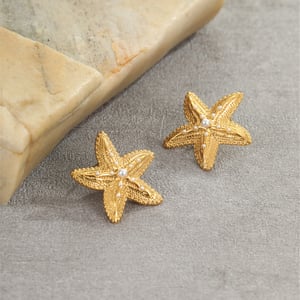 Romantic Series Vacation Star Stainless Steel Women's Stud Earrings h5 Picture4
