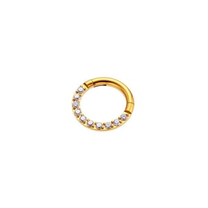 1 Piece Intricate Stainless Steel Gold Color Zircon Women's Piercings Earrings h5