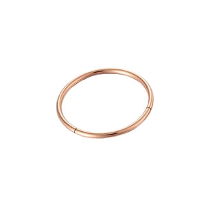 1 Piece Minimalist Stainless Steel Gold Color Women's Piercings Earrings h5