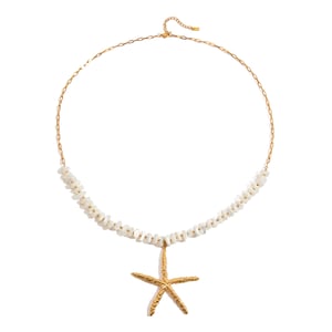 1 Piece Exaggerated Starfish Stainless Steel Gold Color Women's Pendant Necklaces h5