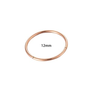 1 Piece Minimalist Stainless Steel Gold Color Women's Piercings Earrings h5 Picture2