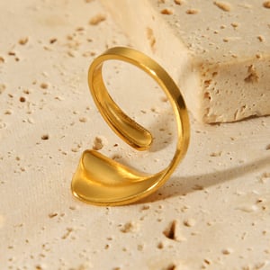 1 Piece Simple  Daily Irregular Shape Stainless Steel Statement Rings h5 Picture7
