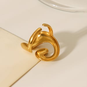 1 Piece Simple  Daily Irregular Shape Stainless Steel  Statement Rings h5 Picture7