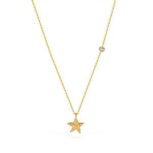1 Stück Halskette mit Seestern-Anhänger aus Edelstahl in Goldfarbe h5
