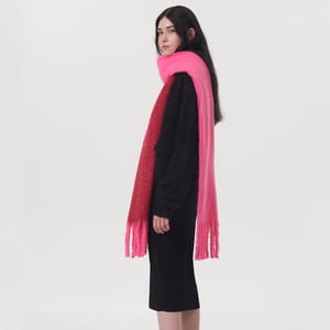 1 Piece Simple Mixed Color Polyester Women's Winter Scarves h5 Picture3