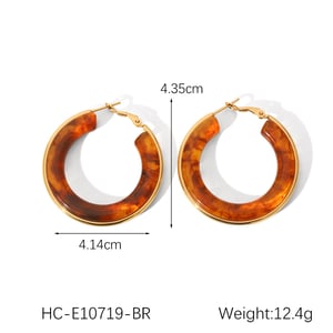 1 Pair Simple  Daily Geometric Stainless Steel  Women's Hoop Earrings h5 Picture2
