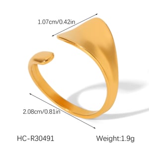 1 Piece Simple  Daily Irregular Shape Stainless Steel Statement Rings h5 Picture2
