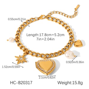 1 Piece Daily Heart Stainless Steel Gold Color Zircon Women's Charm Bracelets h5 Picture2