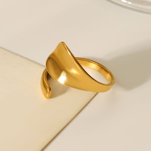 1 Piece Simple  Daily Irregular Shape Stainless Steel Statement Rings h5 Picture8