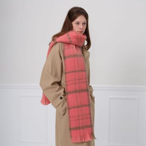 1 Piece Cozy Daily Plaid Polyester Women's Winter Scarves h5 Picture2