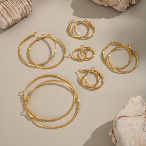 1 Pair Circle Stainless Steel Gold Color Basic Hoop Earrings h5 Picture2