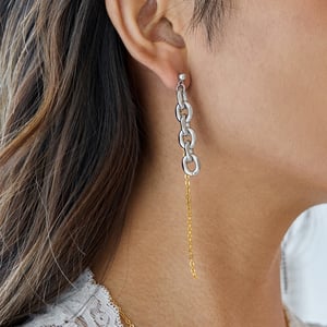 1 Pair Simple Chain Mixed Gold&Silver Colors Stainless Steel Women's Dangle Earrings h5 Picture4