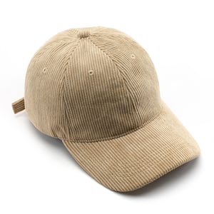 1 Piece Casual Gradient Color Corduroy Baseball Cap h5 Picture5