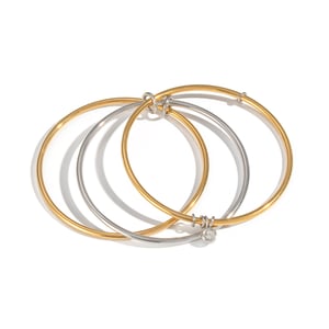 1 Piece Stainless Steel Mixed Color Bangle h5 Picture5