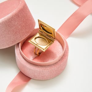 1 Piece Romantic Rectangle Photo Album Stainless Steel Gold Color Statement Rings h5 Picture3