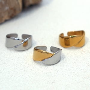 1 Piece Simple  Casual Irregular Shape Stainless Steel  Woemn's  Statement Rings h5 Picture6