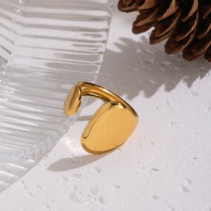 1 Piece Irregular Shape Stainless Steel Gold Color Minimalist Ring h5 Picture5