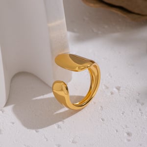 1 Piece Irregular Shape Stainless Steel Gold Color Minimalist Ring h5 Picture2