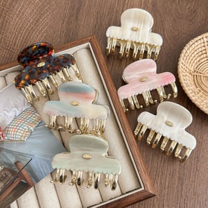 1 Piece  Cute Gradient Color Acetate Women's Hair Claws h5 Picture2