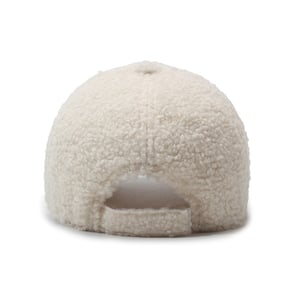 1 Piece Casual Letter Plush Baseball Cap h5 Picture4
