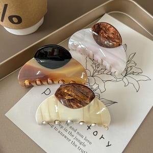 1 Piece Simple  Casual Gradient Color Acetate Women's Hair Clips h5 Picture2
