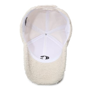 1 Piece Casual Letter Plush Baseball Cap h5 Picture5