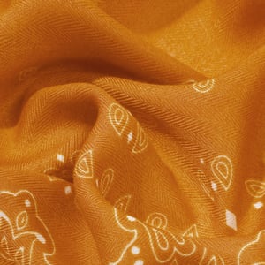 1 Piece Retro Mixed Color Paisley Pattern Polyester Bandana h5 Picture4