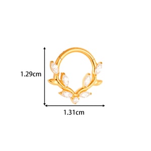 Boucles d'oreilles piercing femme en titane et zircon, motif feuille simple (1 pièce) h5 Image2