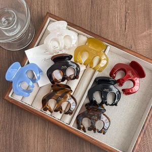 1 Piece Gradient Color Acetate Women's Hair Clips h5 Picture3