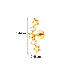Boucles d'oreilles piercing femme en titane et zircon, motif étoile végétale (1 pièce) h5 Image2