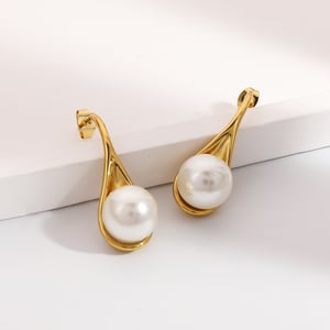 1 Pair Simple Series Daily Turtle Stainless Steel Women's Stud Earrings h5 Picture2