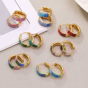 1 Pair Delicate Circle Stainless Steel Gold Color Zircon Women's Hoop Earrings h5 Picture2