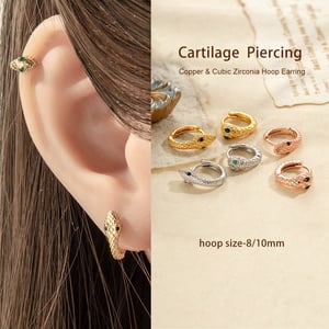 1 Piece Stylish Snake Copper Zircon Women's Hoop Earrings h5 Picture5