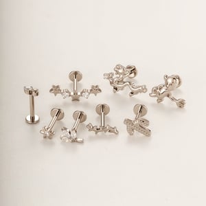 Boucles d'oreilles piercing femme en titane et zircon, motif étoile végétale (1 pièce) h5 Image3