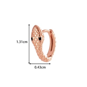 1 Piece Stylish Snake Copper Zircon Women's Hoop Earrings h5 Picture2