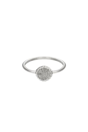 Ring strahlendes Hufeisen Silber Edelstahl 16 h5