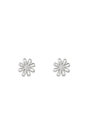 Earrings Shiny Diasy Gold Color Stainless Steel h5 
