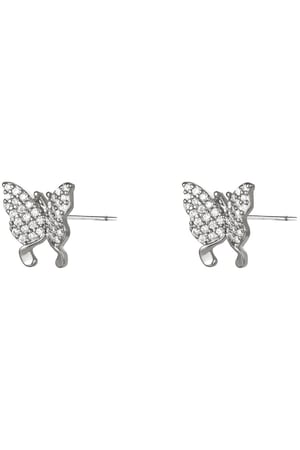 Ohrringe Shiny Butterfly Silber Kupfer h5 Bild2