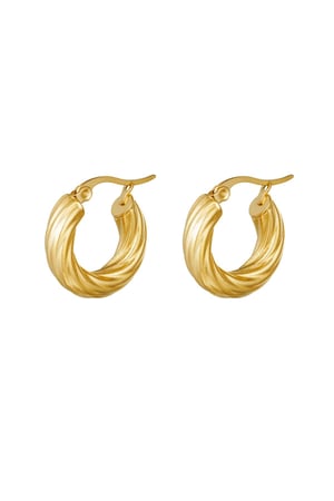 Boucles d'oreilles Curly Hoops Argenté Acier inoxydable h5 