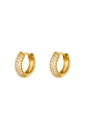 Oorbellen Desire Goud kleur Koper h5 